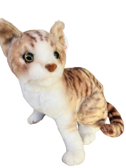 Gato