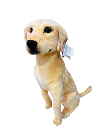 PERRO