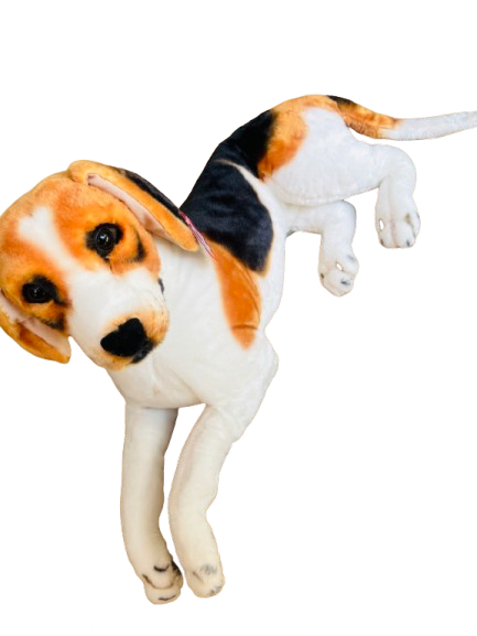 Perro