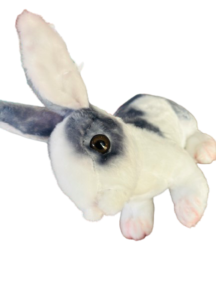 Conejo