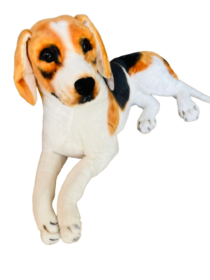 Perro