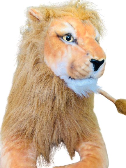 León