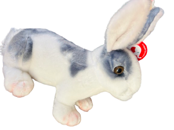 Conejo