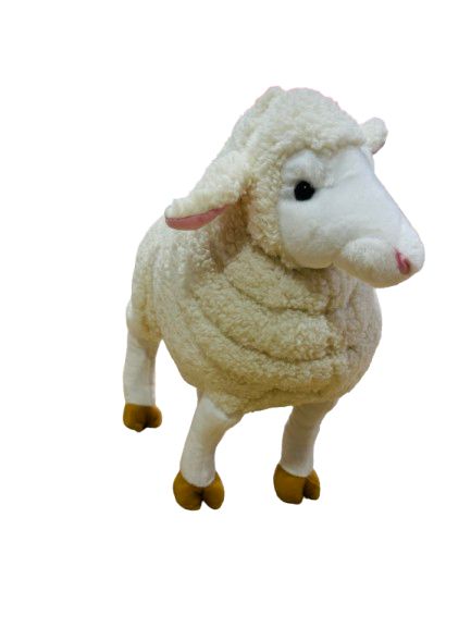 OVEJA