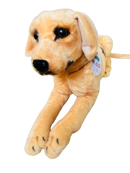 Perro