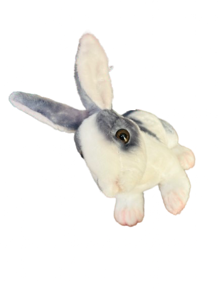 Conejo