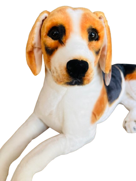 Perro