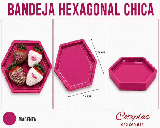BANDEJA HEXAGONAL CHICA