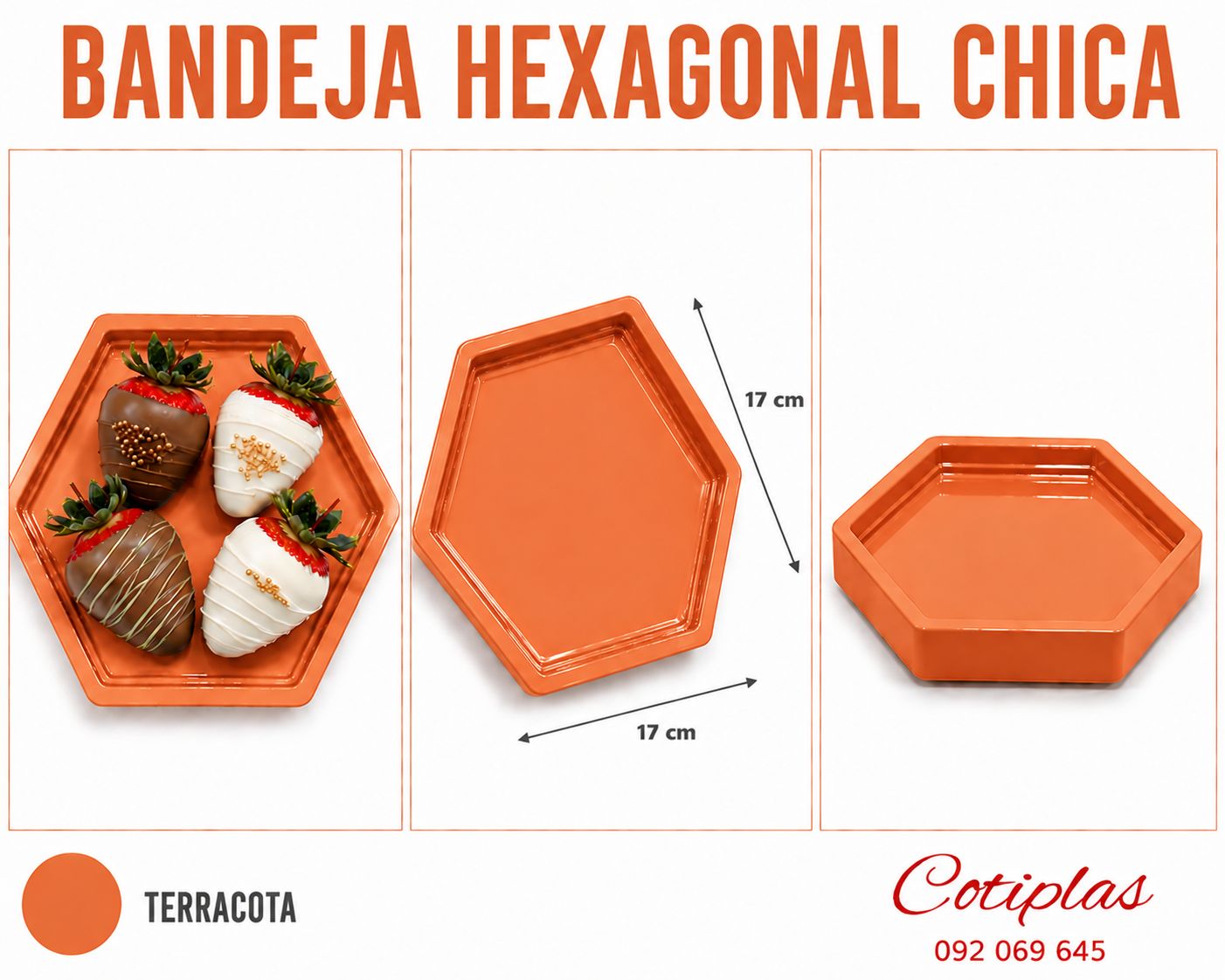 BANDEJA HEXAGONAL CHICA