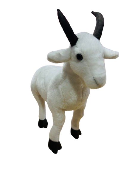 CABRA
