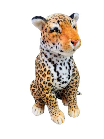 Leopardo